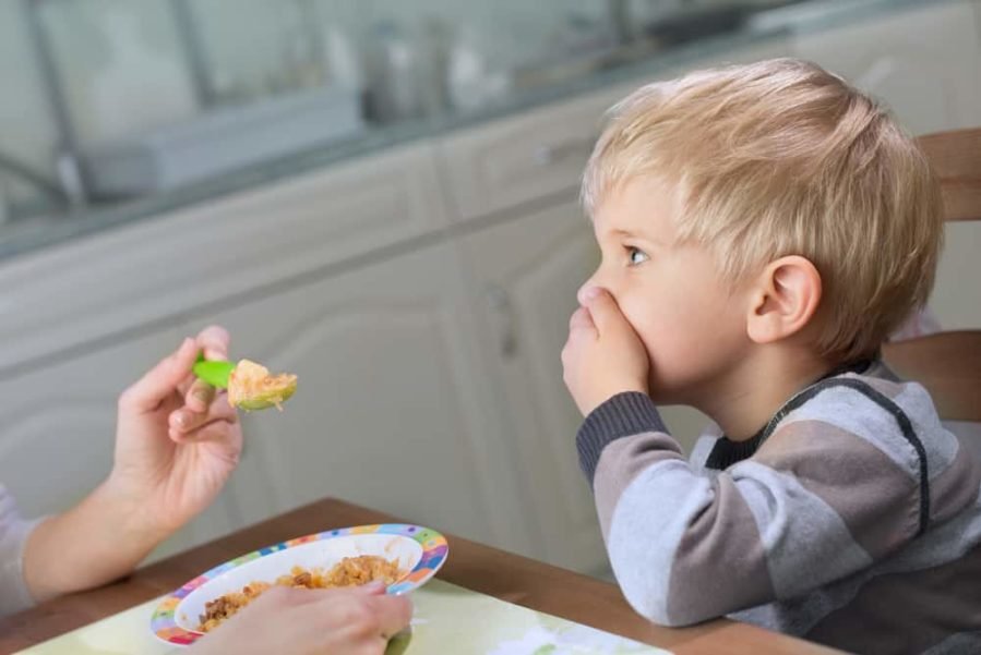 Picky Eater Solutions: How to Handle Picky Eaters and Turn Mealtime into Playtime